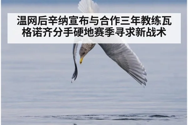 温网后辛纳宣布与合作三年教练瓦格诺齐分手硬地赛季寻求新战术