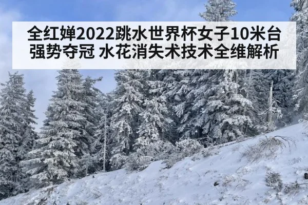 全红婵2022跳水世界杯女子10米台强势夺冠 水花消失术技术全维解析